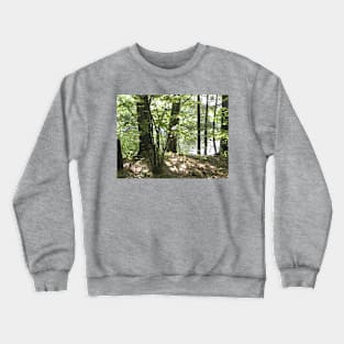 Lake Through the Woods Crewneck Sweatshirt